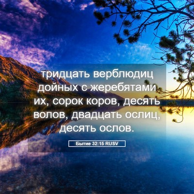 Picture 05 - Бытие 32:15 RUSV - тридцать верблюдиц дойных - Bible Verse Picture