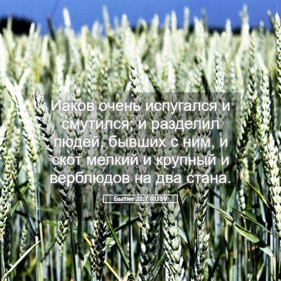 Picture 05 - Бытие 32:7 RUSV - Иаков очень испугался и - Bible Verse Picture