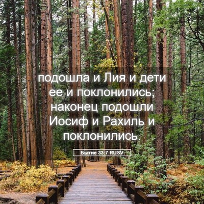 Picture 05 - Бытие 33:7 RUSV - подошла и Лия и дети ее и - Bible Verse Picture