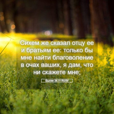 Picture 05 - Бытие 34:11 RUSV - Сихем же сказал отцу ее и - Bible Verse Picture