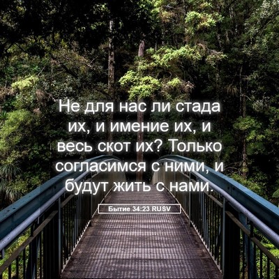 Picture 05 - Бытие 34:23 RUSV - Не для нас ли стада их, и - Bible Verse Picture