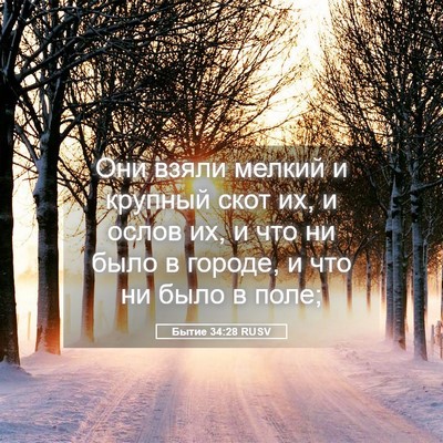 Picture 05 - Бытие 34:28 RUSV - Они взяли мелкий и крупный - Bible Verse Picture