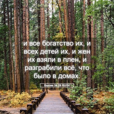 Picture 05 - Бытие 34:29 RUSV - и все богатство их, и всех - Bible Verse Picture