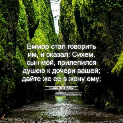 Picture 05 - Бытие 34:8 RUSV - Еммор стал говорить им, и - Bible Verse Picture