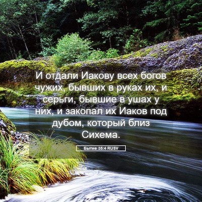 Picture 05 - Бытие 35:4 RUSV - И отдали Иакову всех богов - Bible Verse Picture