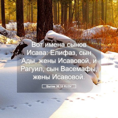 Picture 05 - Бытие 36:10 RUSV - Вот имена сынов Исава: - Bible Verse Picture