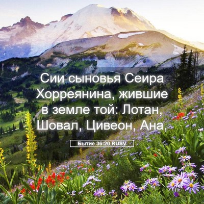 Picture 05 - Бытие 36:20 RUSV - Сии сыновья Сеира - Bible Verse Picture