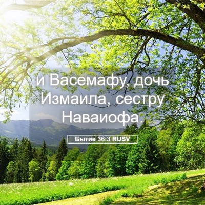 Picture 05 - Бытие 36:3 RUSV - и Васемафу, дочь Измаила, - Bible Verse Picture