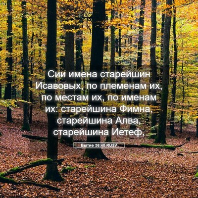 Picture 05 - Бытие 36:40 RUSV - Сии имена старейшин - Bible Verse Picture