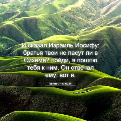 Picture 05 - Бытие 37:13 RUSV - И сказал Израиль Иосифу: - Bible Verse Picture