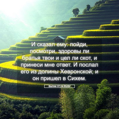 Picture 05 - Бытие 37:14 RUSV - И сказал ему: пойди, - Bible Verse Picture