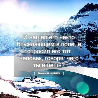 Picture 05 - Бытие 37:15 RUSV - И нашел его некто - Bible Verse Picture