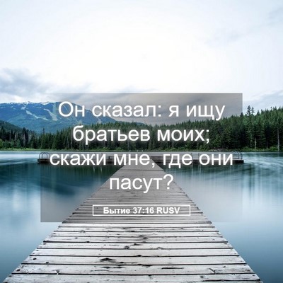 Picture 05 - Бытие 37:16 RUSV - Он сказал: я ищу братьев - Bible Verse Picture