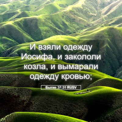 Picture 05 - Бытие 37:31 RUSV - И взяли одежду Иосифа, и - Bible Verse Picture