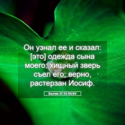 Picture 05 - Бытие 37:33 RUSV - Он узнал ее и сказал: [это] - Bible Verse Picture