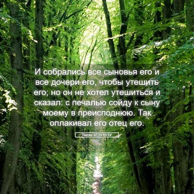 Picture 05 - Бытие 37:35 RUSV - И собрались все сыновья - Bible Verse Picture