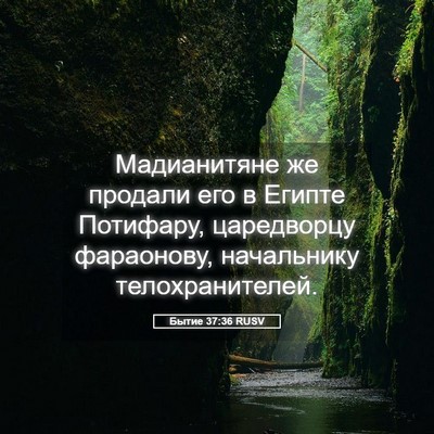 Picture 05 - Бытие 37:36 RUSV - Мадианитяне же продали его - Bible Verse Picture