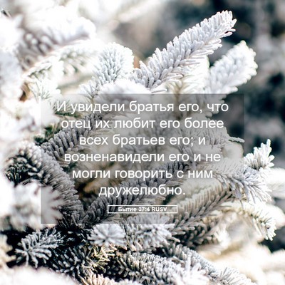 Picture 05 - Бытие 37:4 RUSV - И увидели братья его, что - Bible Verse Picture