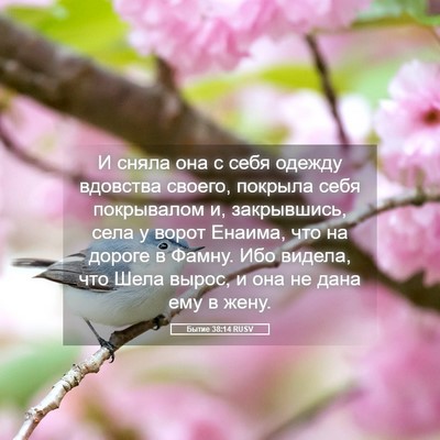 Picture 05 - Бытие 38:14 RUSV - И сняла она с себя одежду - Bible Verse Picture