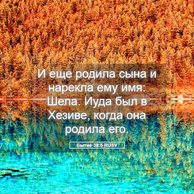 Picture 05 - Бытие 38:5 RUSV - И еще родила сына и нарекла - Bible Verse Picture