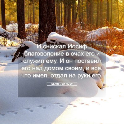 Picture 05 - Бытие 39:4 RUSV - И снискал Иосиф - Bible Verse Picture