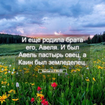 Picture 05 - Бытие 4:2 RUSV - И еще родила брата его, - Bible Verse Picture