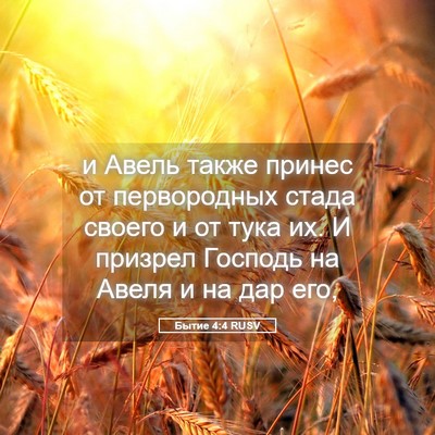 Picture 05 - Бытие 4:4 RUSV - и Авель также принес от - Bible Verse Picture