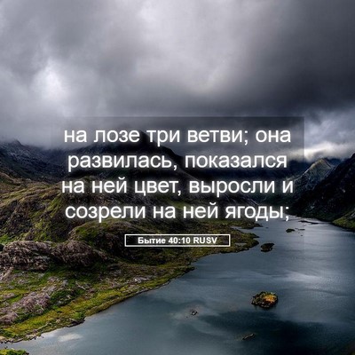 Picture 05 - Бытие 40:10 RUSV - на лозе три ветви; она - Bible Verse Picture