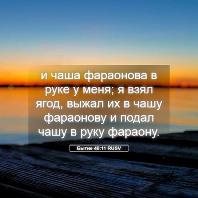 Picture 05 - Бытие 40:11 RUSV - и чаша фараонова в руке у - Bible Verse Picture