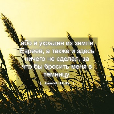 Picture 05 - Бытие 40:15 RUSV - ибо я украден из земли - Bible Verse Picture