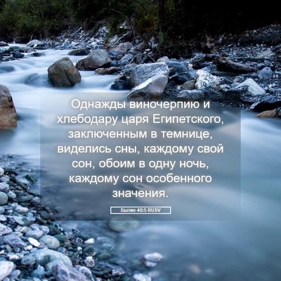 Picture 05 - Бытие 40:5 RUSV - Однажды виночерпию и - Bible Verse Picture
