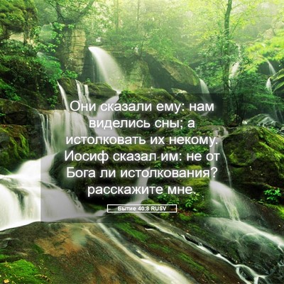 Picture 05 - Бытие 40:8 RUSV - Они сказали ему: нам - Bible Verse Picture