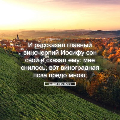 Picture 05 - Бытие 40:9 RUSV - И рассказал главный - Bible Verse Picture
