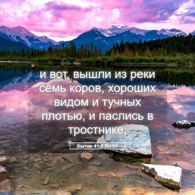 Picture 05 - Бытие 41:2 RUSV - и вот, вышли из реки семь - Bible Verse Picture