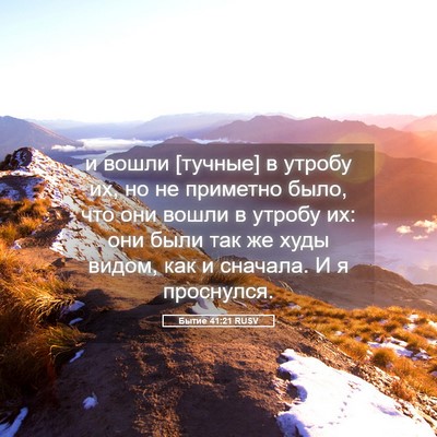 Picture 05 - Бытие 41:21 RUSV - и вошли [тучные] в утробу - Bible Verse Picture