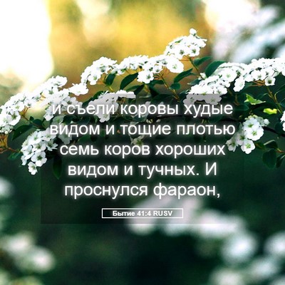 Picture 05 - Бытие 41:4 RUSV - и съели коровы худые видом - Bible Verse Picture