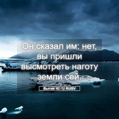 Picture 05 - Бытие 42:12 RUSV - Он сказал им: нет, вы пришли - Bible Verse Picture
