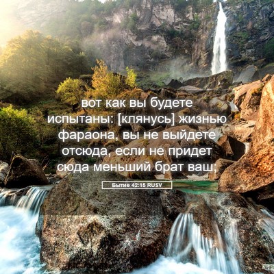 Picture 05 - Бытие 42:15 RUSV - вот как вы будете испытаны: - Bible Verse Picture