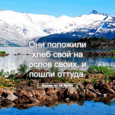 Picture 05 - Бытие 42:26 RUSV - Они положили хлеб свой на - Bible Verse Picture