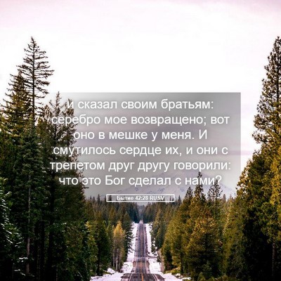 Picture 05 - Бытие 42:28 RUSV - и сказал своим братьям: - Bible Verse Picture