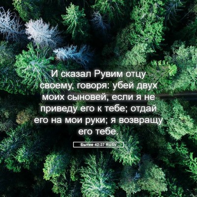 Picture 05 - Бытие 42:37 RUSV - И сказал Рувим отцу своему, - Bible Verse Picture