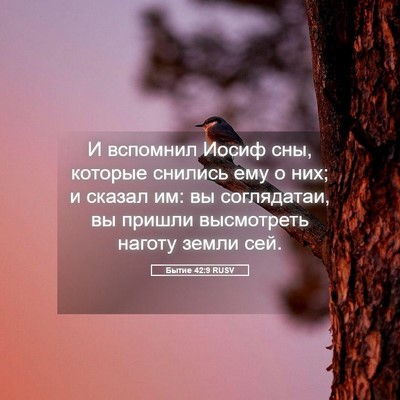 Picture 05 - Бытие 42:9 RUSV - И вспомнил Иосиф сны, - Bible Verse Picture