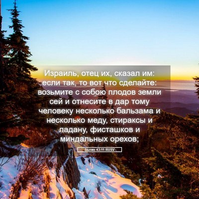 Picture 05 - Бытие 43:11 RUSV - Израиль, отец их, сказал им: - Bible Verse Picture