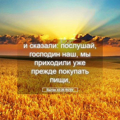 Picture 05 - Бытие 43:20 RUSV - и сказали: послушай, - Bible Verse Picture