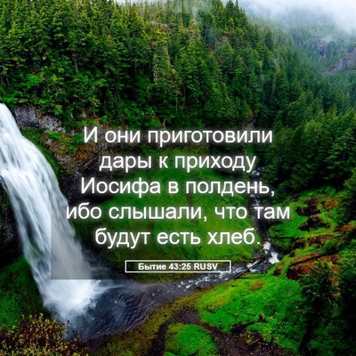 Picture 05 - Бытие 43:25 RUSV - И они приготовили дары к - Bible Verse Picture