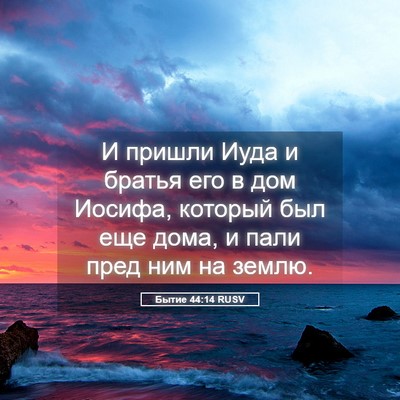 Picture 05 - Бытие 44:14 RUSV - И пришли Иуда и братья его - Bible Verse Picture