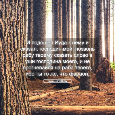 Picture 05 - Бытие 44:18 RUSV - И подошел Иуда к нему и - Bible Verse Picture