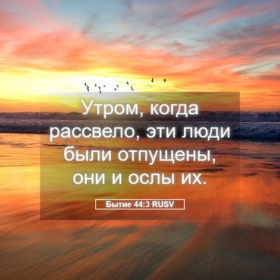 Picture 05 - Бытие 44:3 RUSV - Утром, когда рассвело, эти - Bible Verse Picture