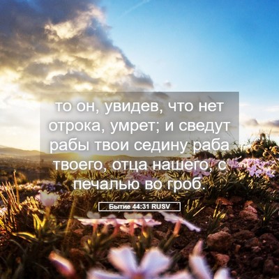 Picture 05 - Бытие 44:31 RUSV - то он, увидев, что нет - Bible Verse Picture