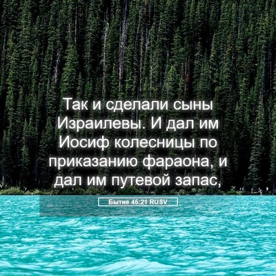Picture 05 - Бытие 45:21 RUSV - Так и сделали сыны - Bible Verse Picture